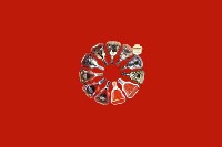 东台回收红酒